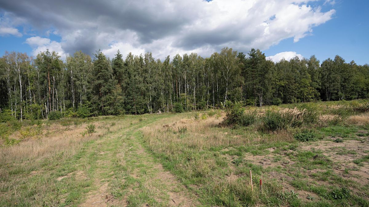 Prodej stavebního pozemku 1255 m² – fotografie 2