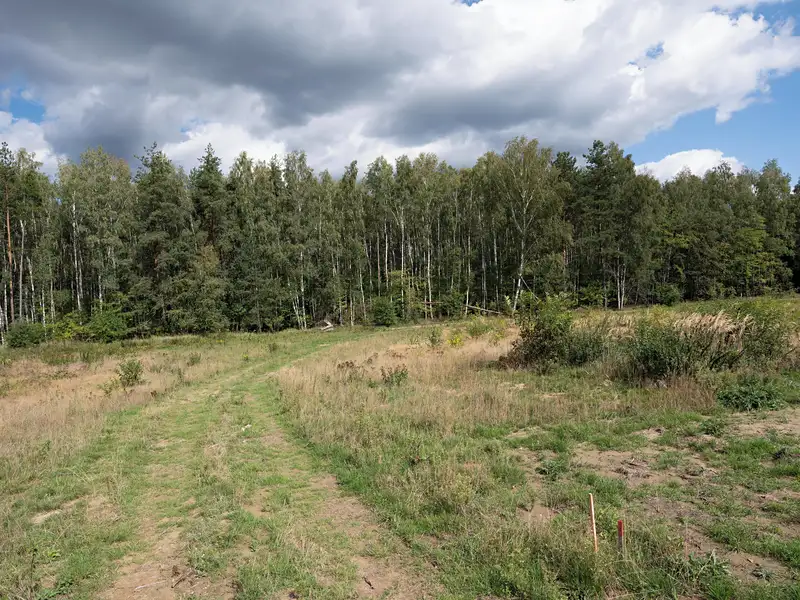 Prodej stavebního pozemku 1255 m², Ralsko – náhled fotky 2
