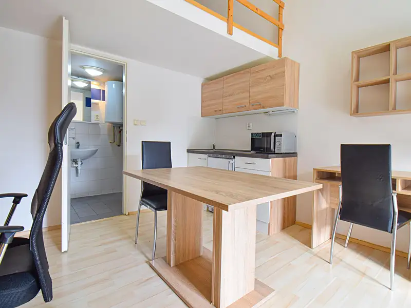 Pronájem bytu 1+kk 21 m², Brno – náhled fotky 2