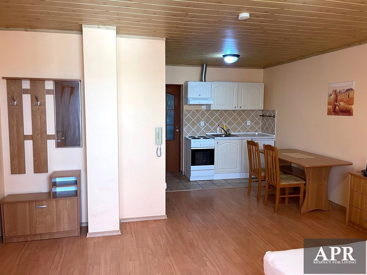 Pronájem bytu 1+kk 30 m² – fotografie 4