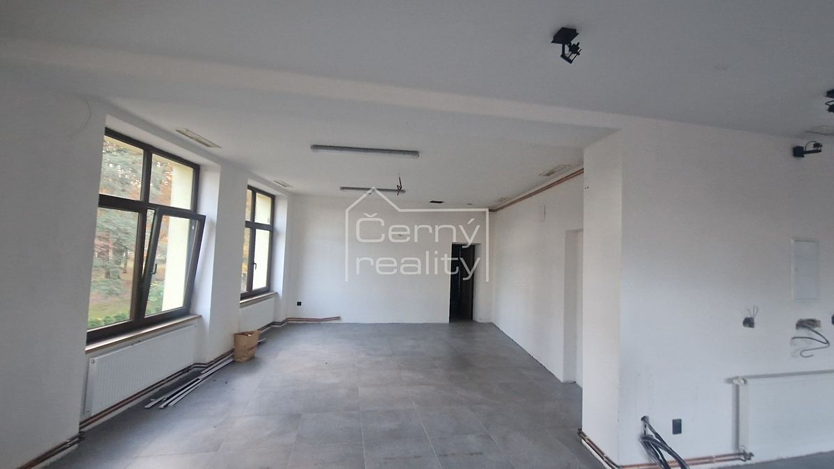 Pronájem obchodního prostoru 120 m² – fotografie 2