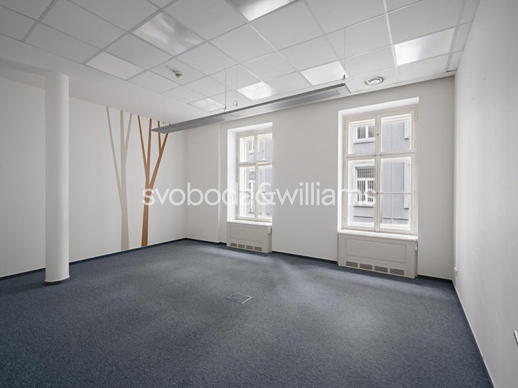 Pronájem komerčního prostoru, 300 m² (1 z 19)