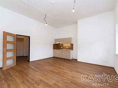 Pronájem bytu 1+kk 50 m²