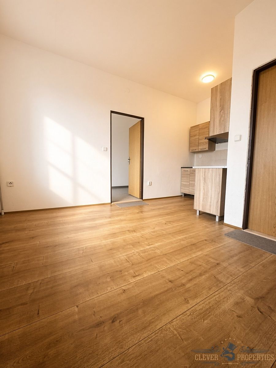 Pronájem bytu 2+kk 32 m² – fotografie 3