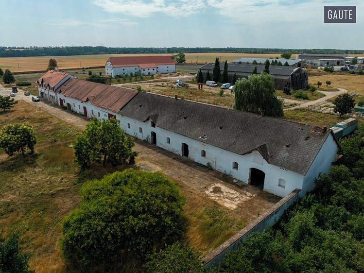 Ostatní