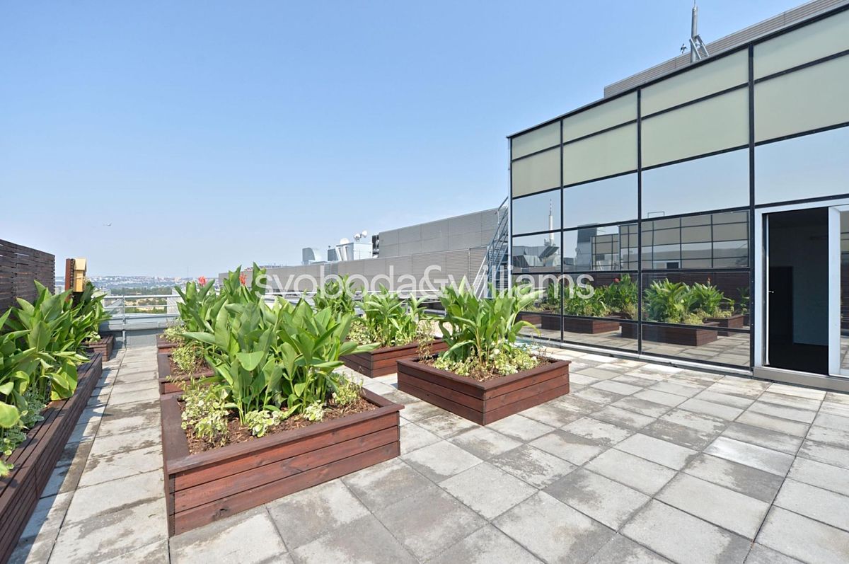 Pronájem kanceláře 387 m² – fotografie 2