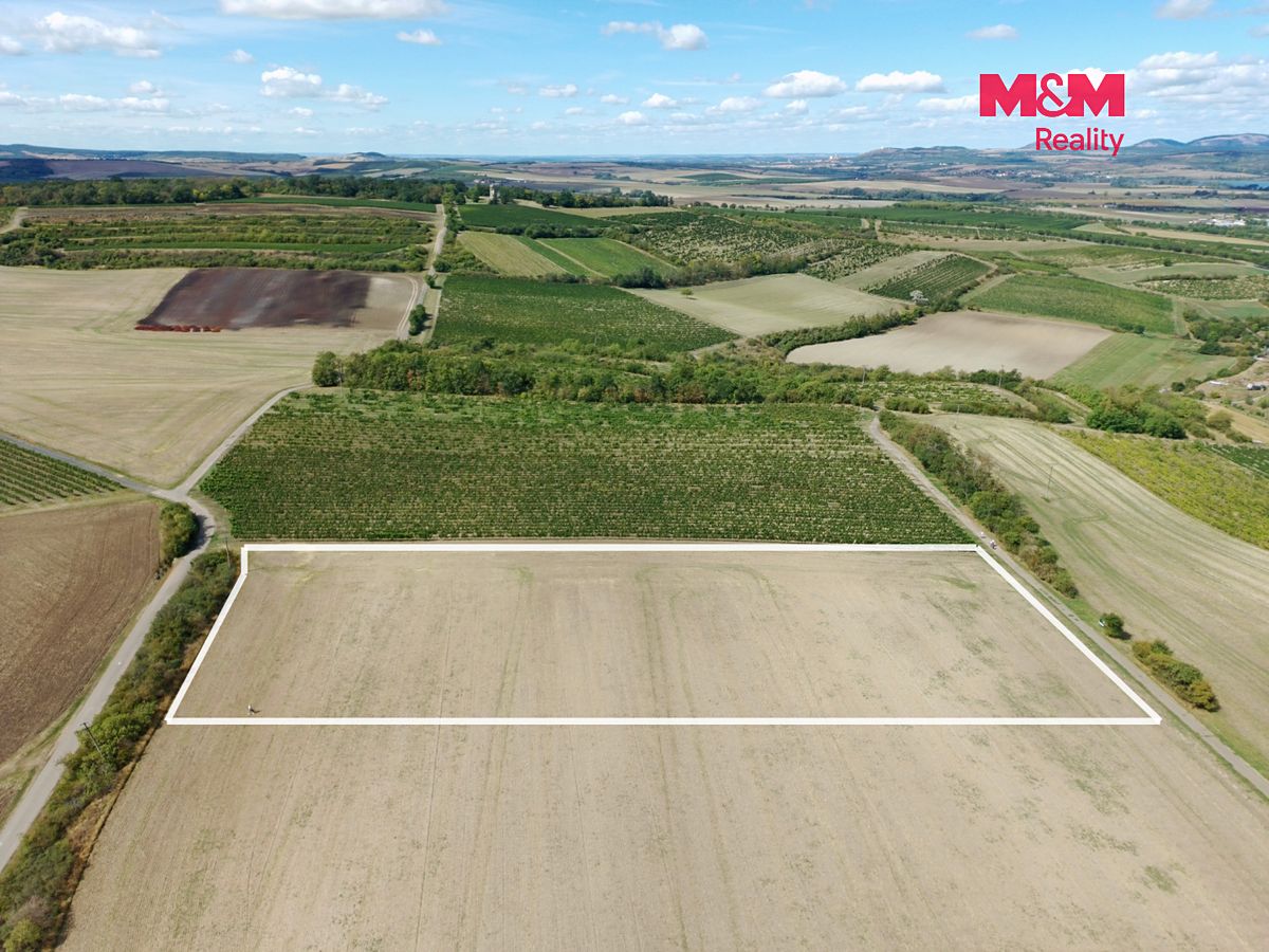 Prodej pole 9598 m² – fotografie 3