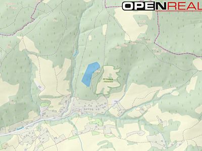 Prodej lesa 21884 m²