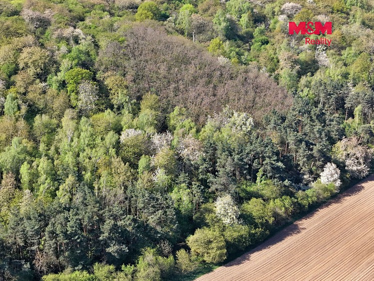 Grundstück zum Kauf, 5.857 m² (4 von 9)