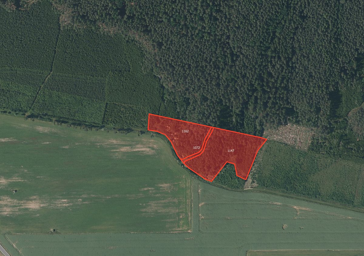 Prodej lesa 10814 m²