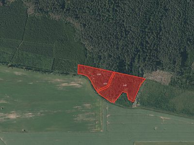 Prodej lesa 10814 m²