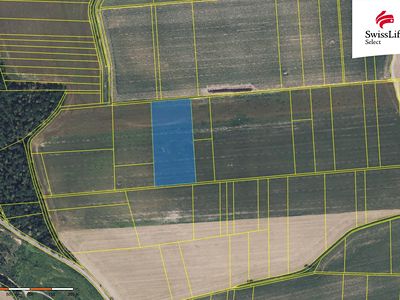 Prodej pole 18365 m²