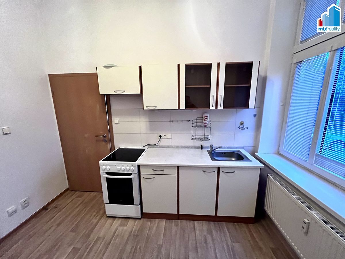 Pronájem bytu 1+1 45 m² – fotografie 3