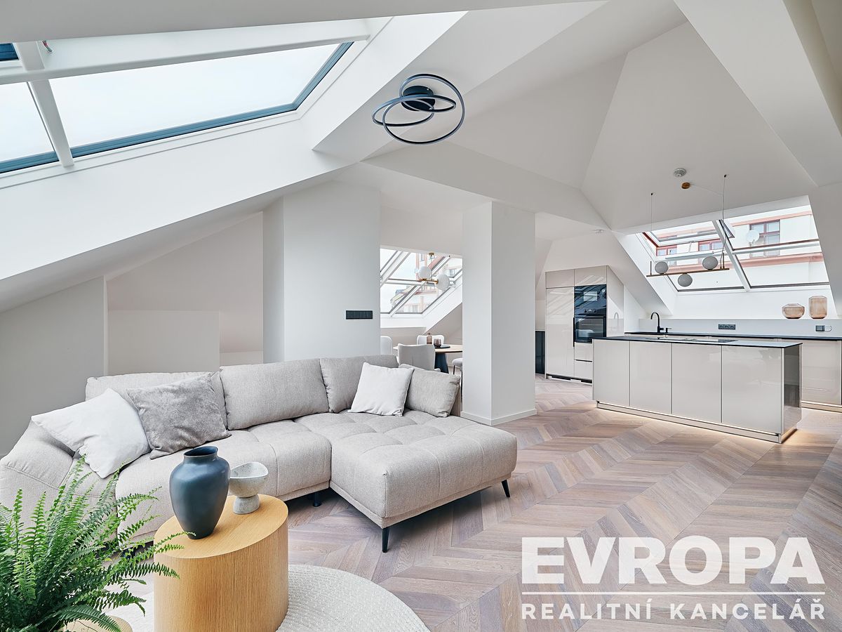 Pronájem bytu atypický 119 m² – fotografie 3