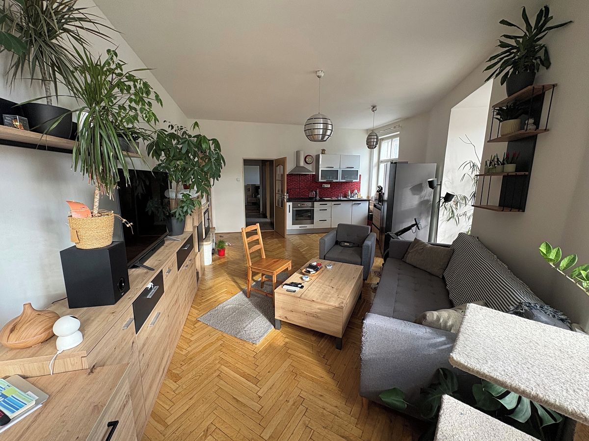 Pronájem bytu 2+kk 58 m² – fotografie 2