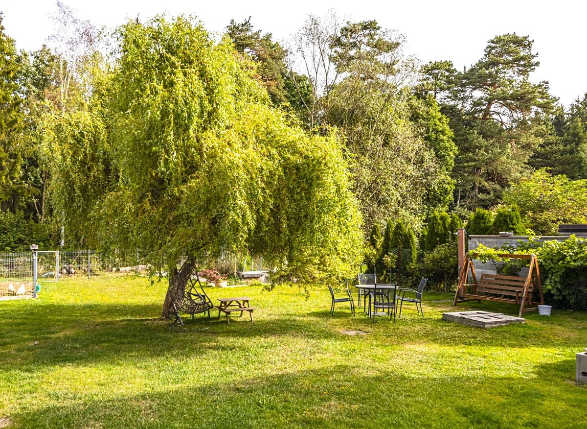 Prodej rodinného domu 220 m², pozemek 996 m² – fotografie 5