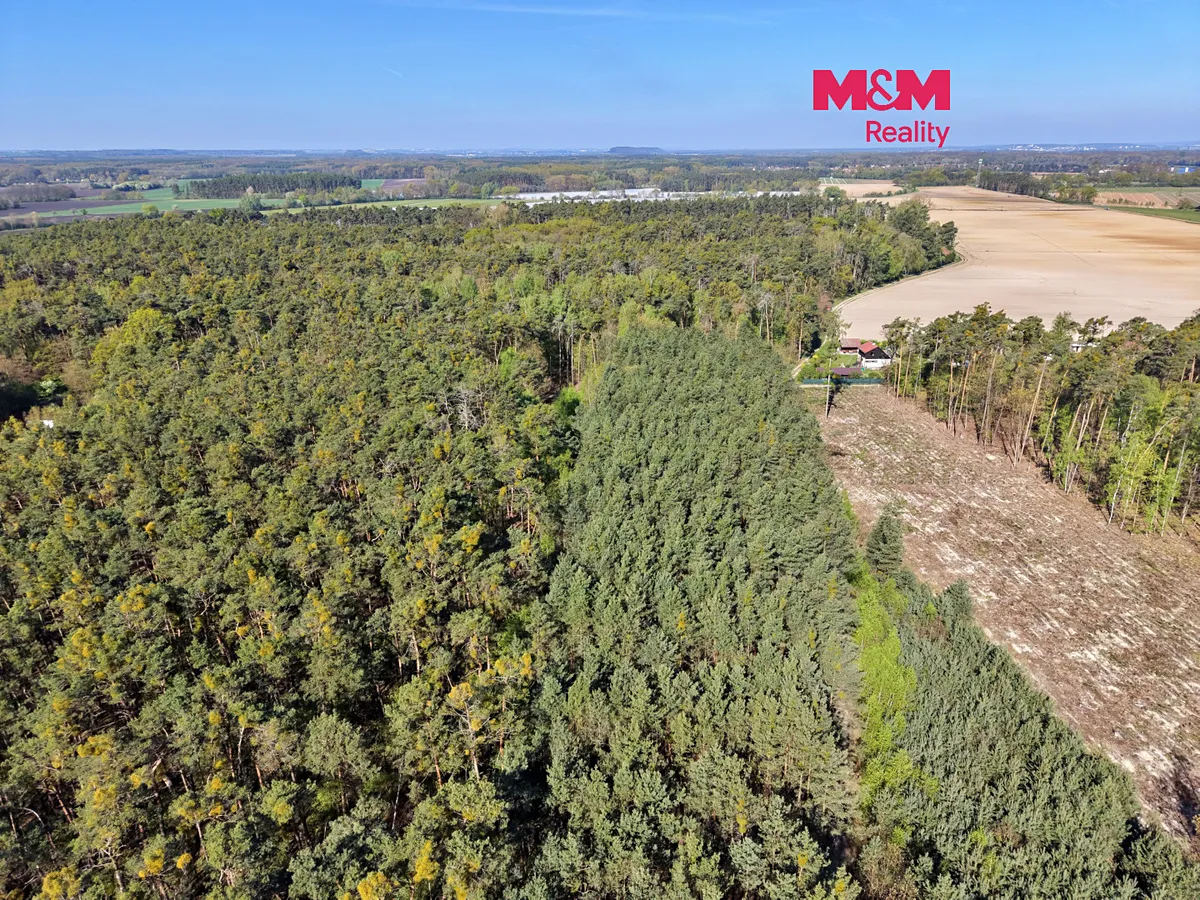 Prodej podílu 1/2 lesa 4769 m²