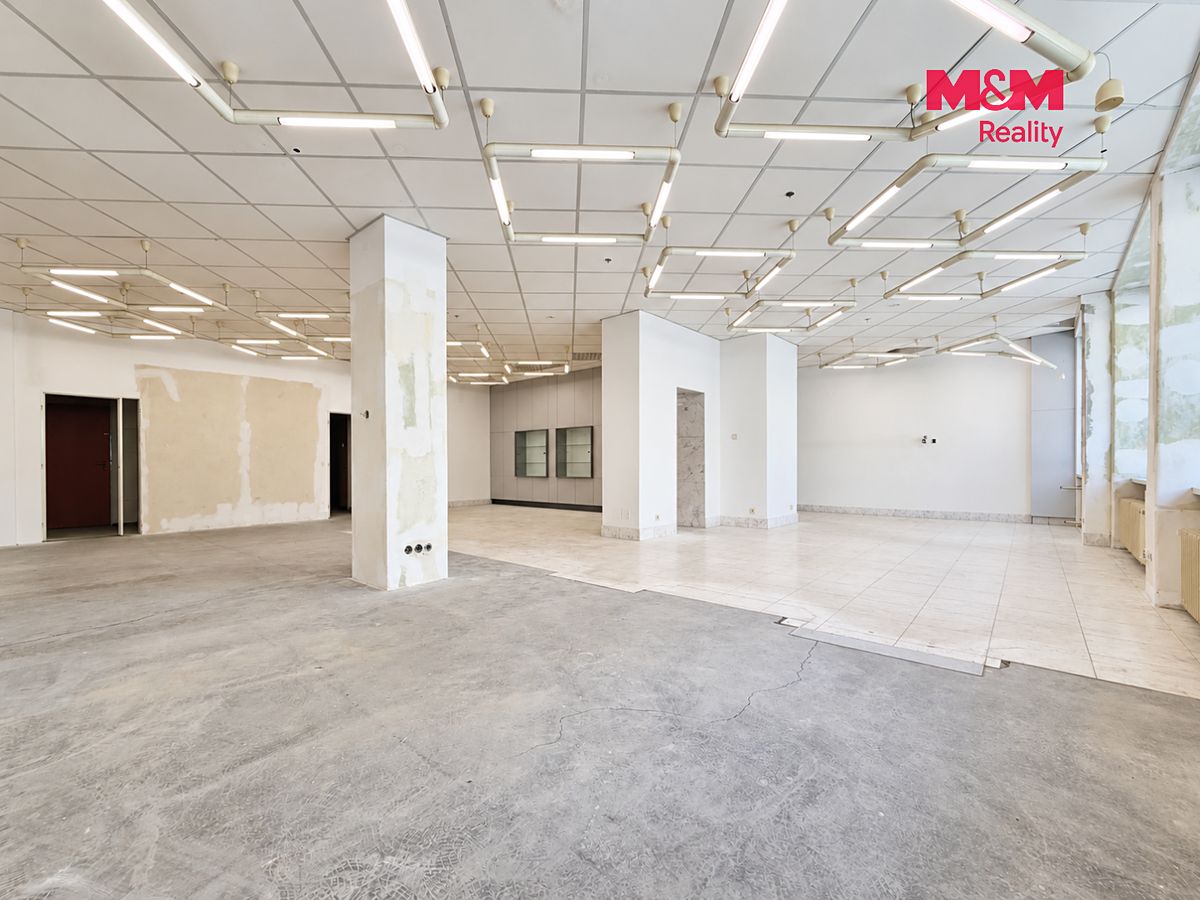 Pronájem obchodního prostoru 170 m² – fotografie 2