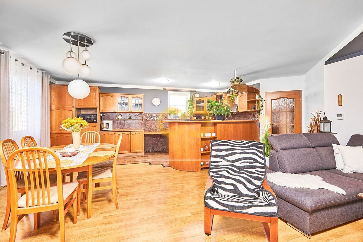 Prodej rodinného domu 430 m², pozemek 3248 m² – fotografie 3