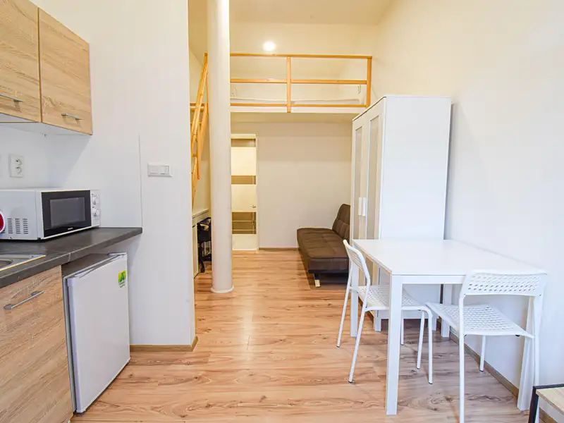 Pronájem bytu 1+kk 23 m², Brno – náhled fotky 1
