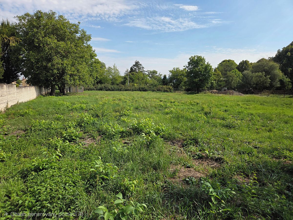 Prodej komerčního pozemku 3270 m² – fotografie 2