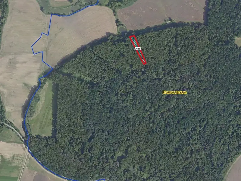 Prodej lesa 2974 m², Přerov nad Labem – náhled fotky 2