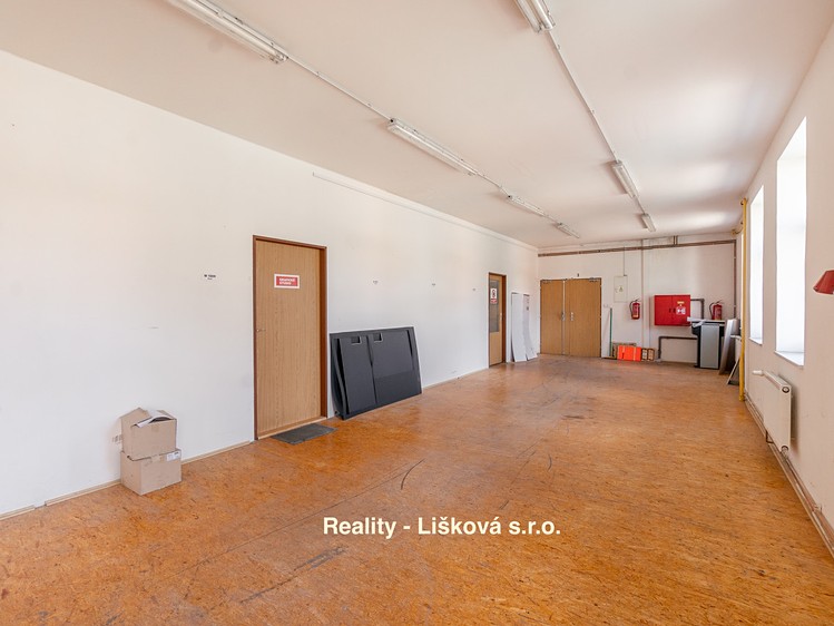Комерційне приміщення в оренду, 261 м² (14 з 25)