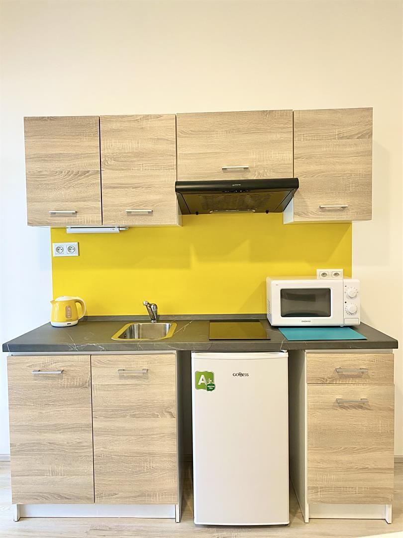 Pronájem bytu 1+kk 25 m² – fotografie 4