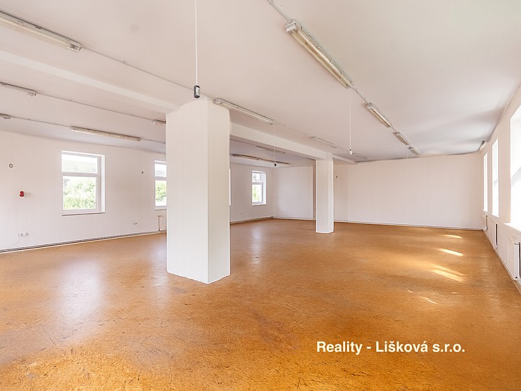 Комерційне приміщення в оренду, 261 м² (12 з 25)
