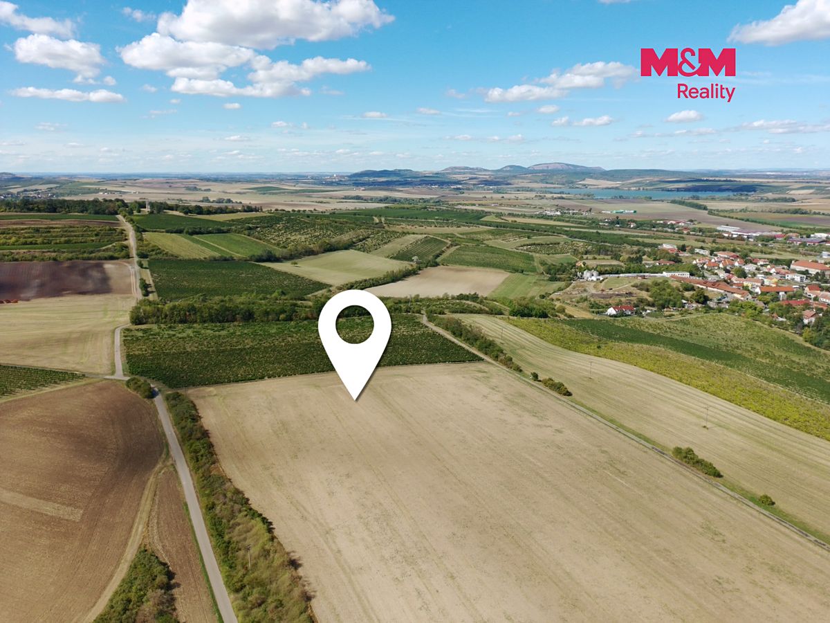 Prodej pole 9598 m² – fotografie 5