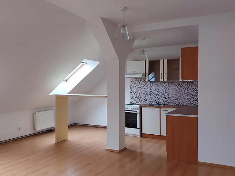 Pronájem bytu 2+kk 74 m², Plzeň – náhled fotky 1