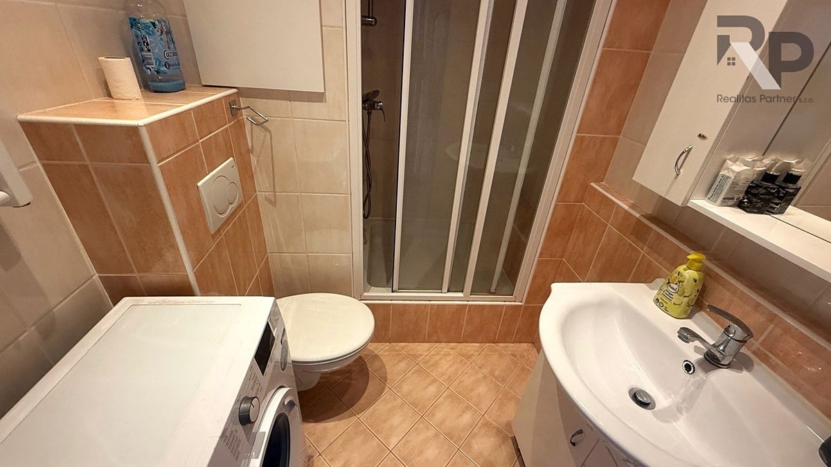 Pronájem bytu 1+1 32 m² – fotografie 5