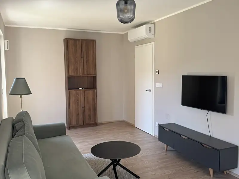 Pronájem bytu 2+kk 57 m², Brno – náhled fotky 1
