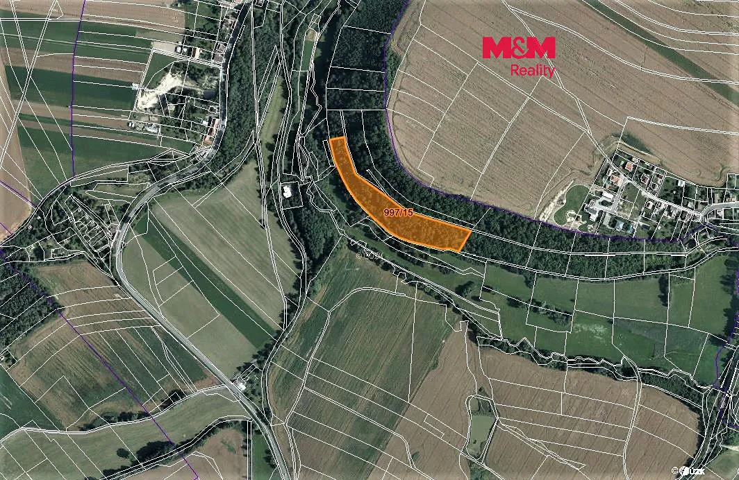Prodej lesa 14689 m²