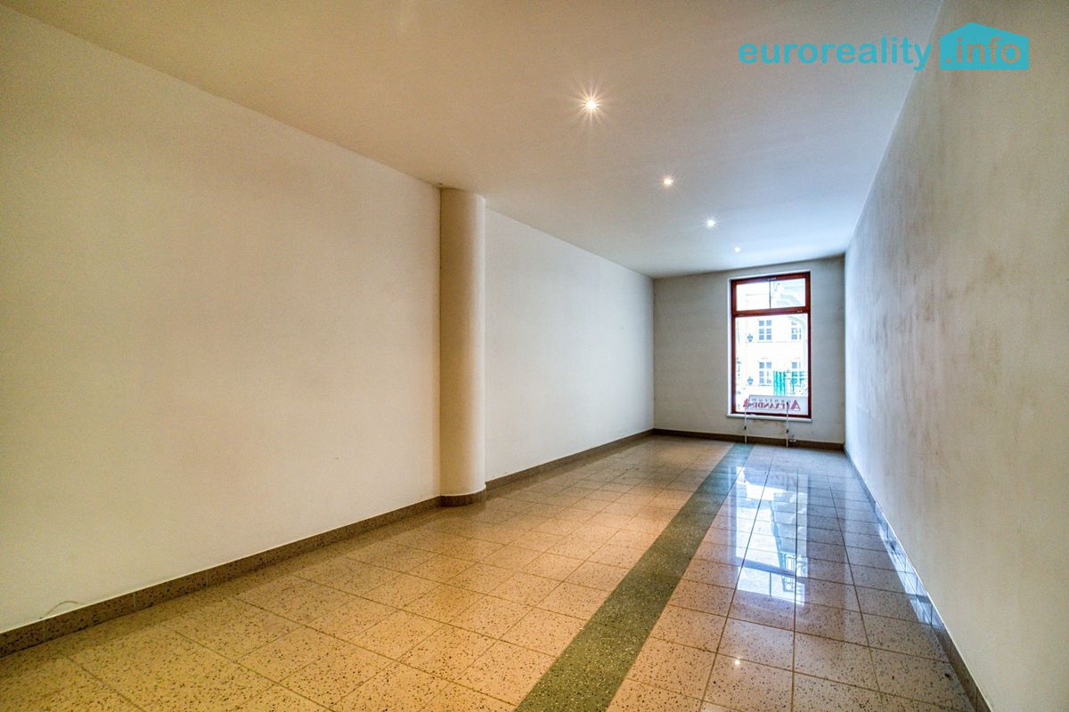 Prodej bytu atypický 301 m² – fotografie 5