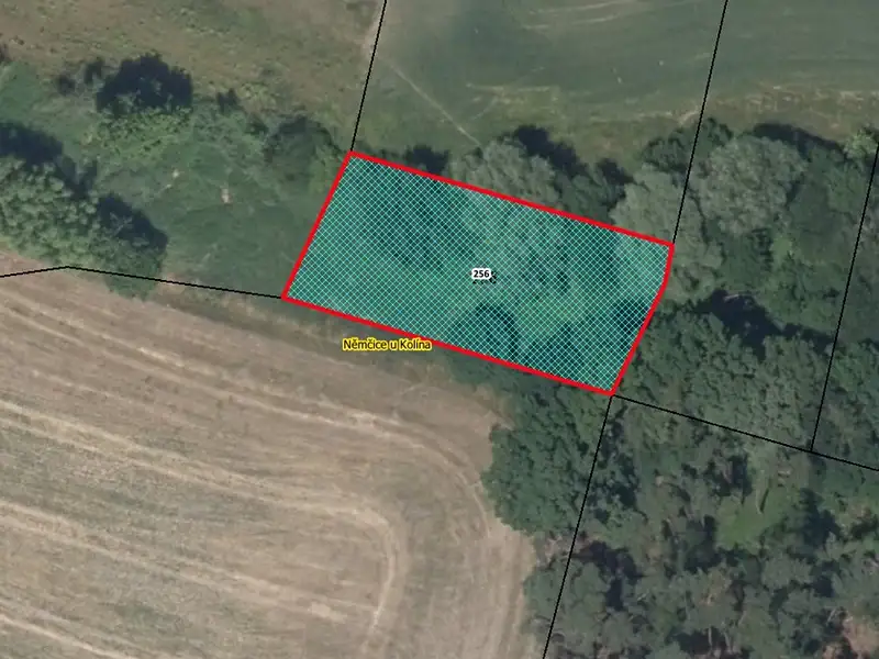 Prodej pozemku 935 m², Němčice – náhled fotky 1