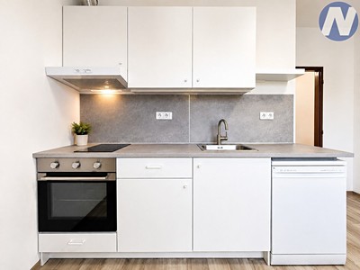 Pronájem bytu 1+1 44 m²