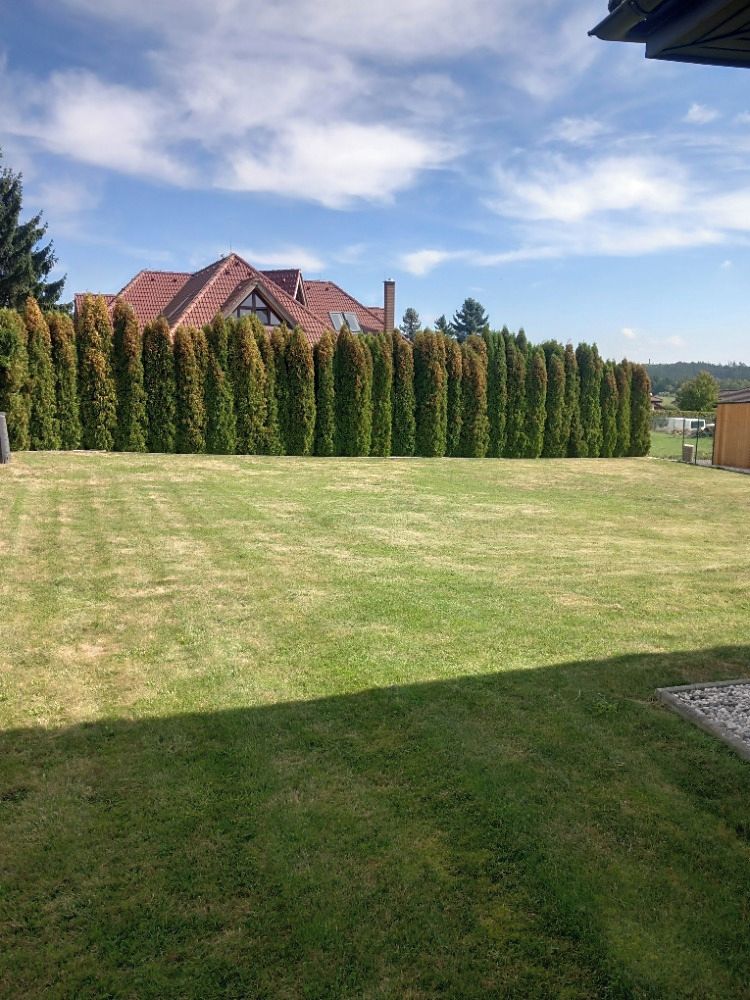 Prodej rodinného domu 118 m², pozemek 821 m² – fotografie 5