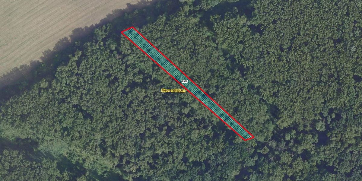 Prodej lesa 2852 m², Přerov nad Labem – fotka 1 z 3