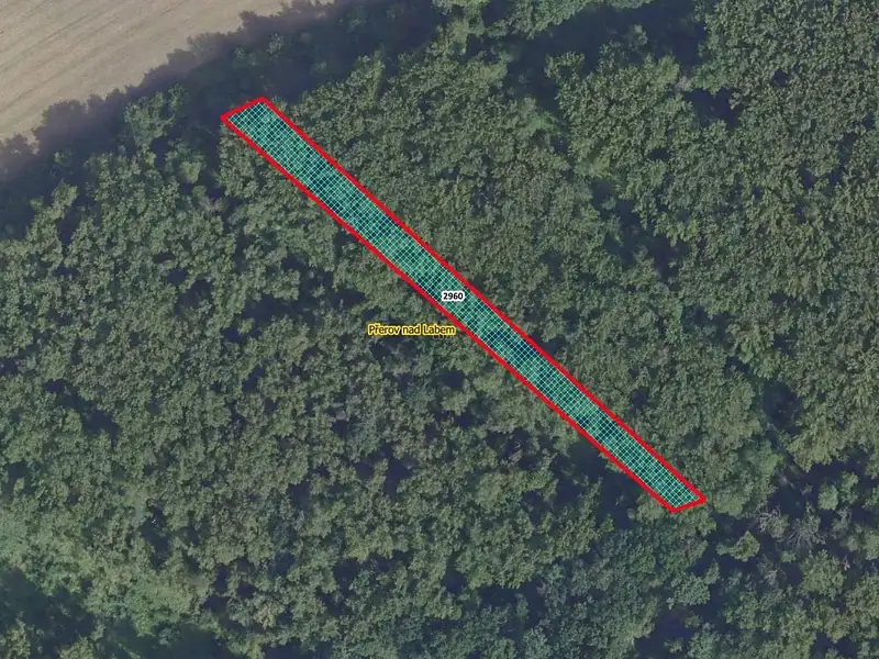 Prodej lesa 2852 m², Přerov nad Labem – náhled fotky 1