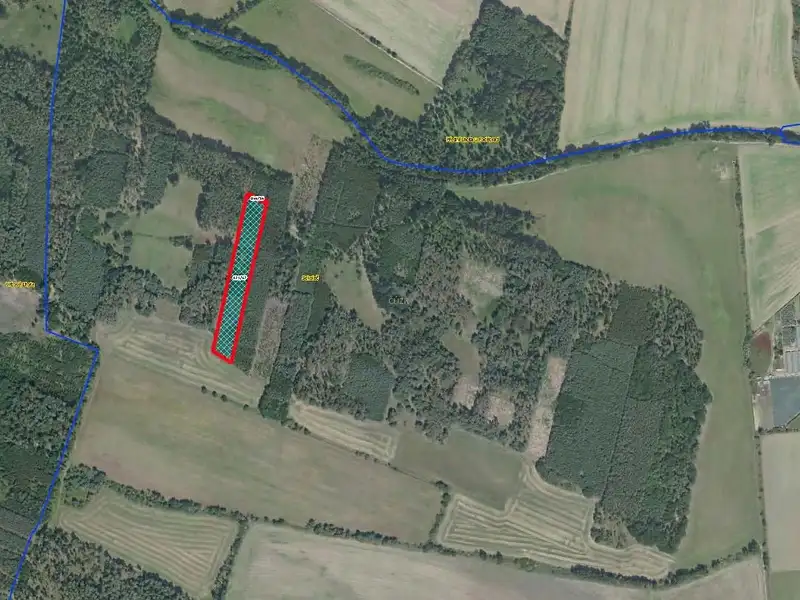 Prodej lesa 9084 m², Sokoleč – náhled fotky 2