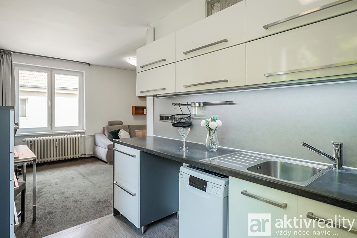 Pronájem bytu 2+1 54 m² – fotografie 4