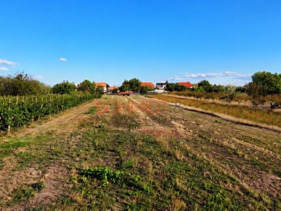 Ділянка на продаж, 491 м² (3 з 10)