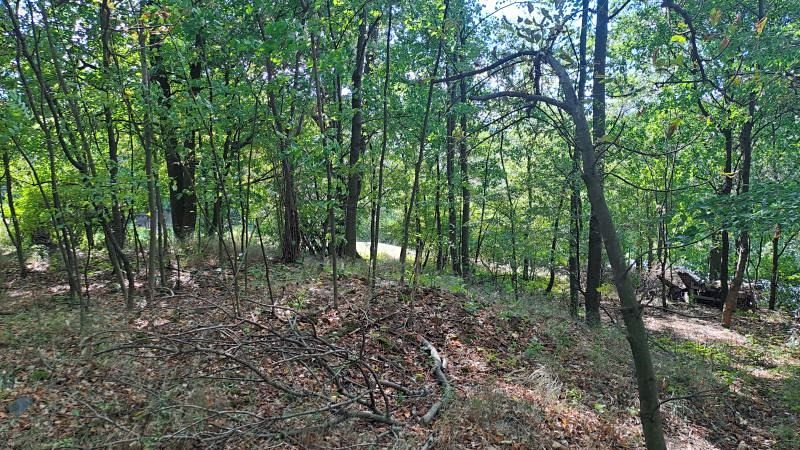 Prodej lesa 1324 m²