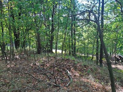 Prodej lesa 1324 m²