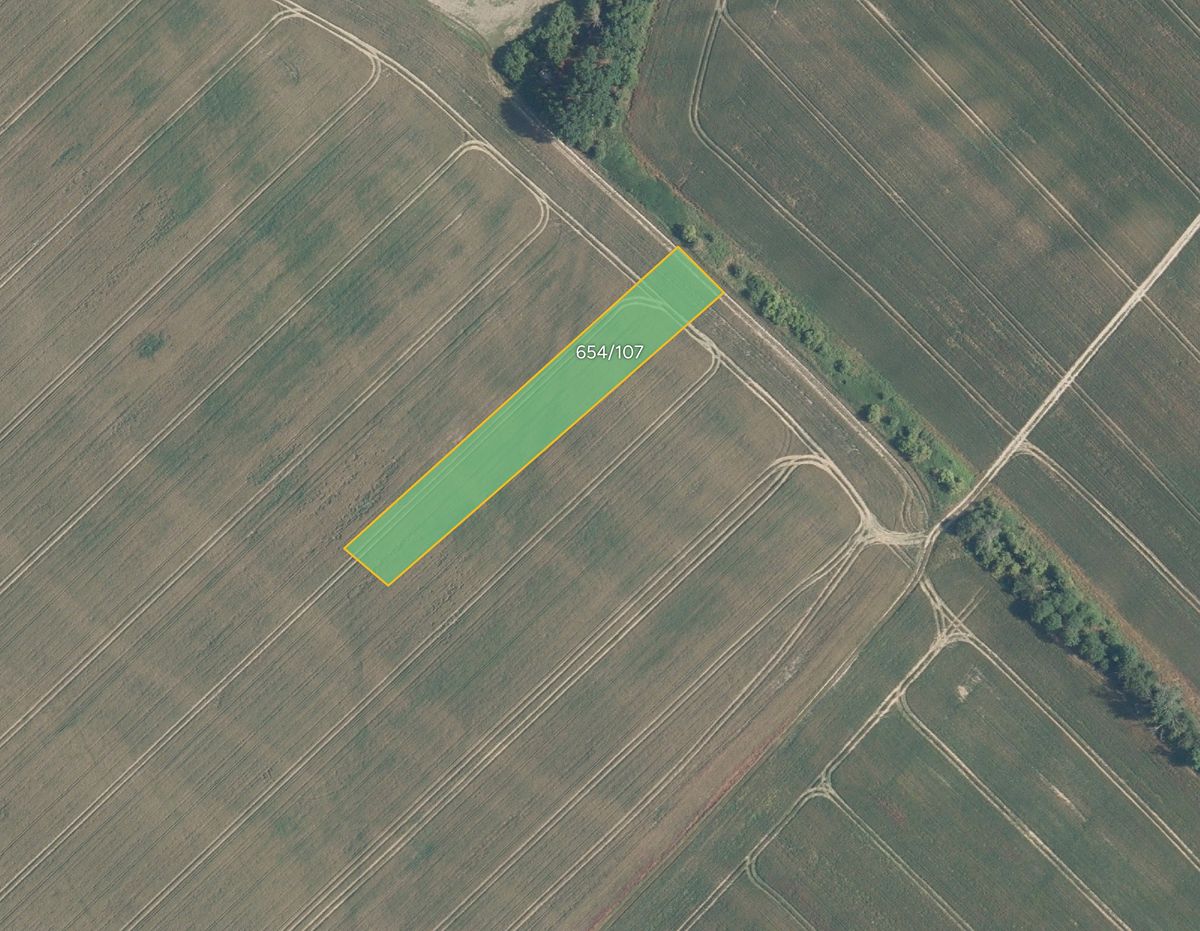 Prodej pole 2875 m², Všetaty – fotka 1 z 3