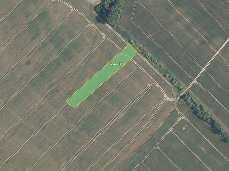 Prodej pole 2875 m², Všetaty – náhled fotky 1