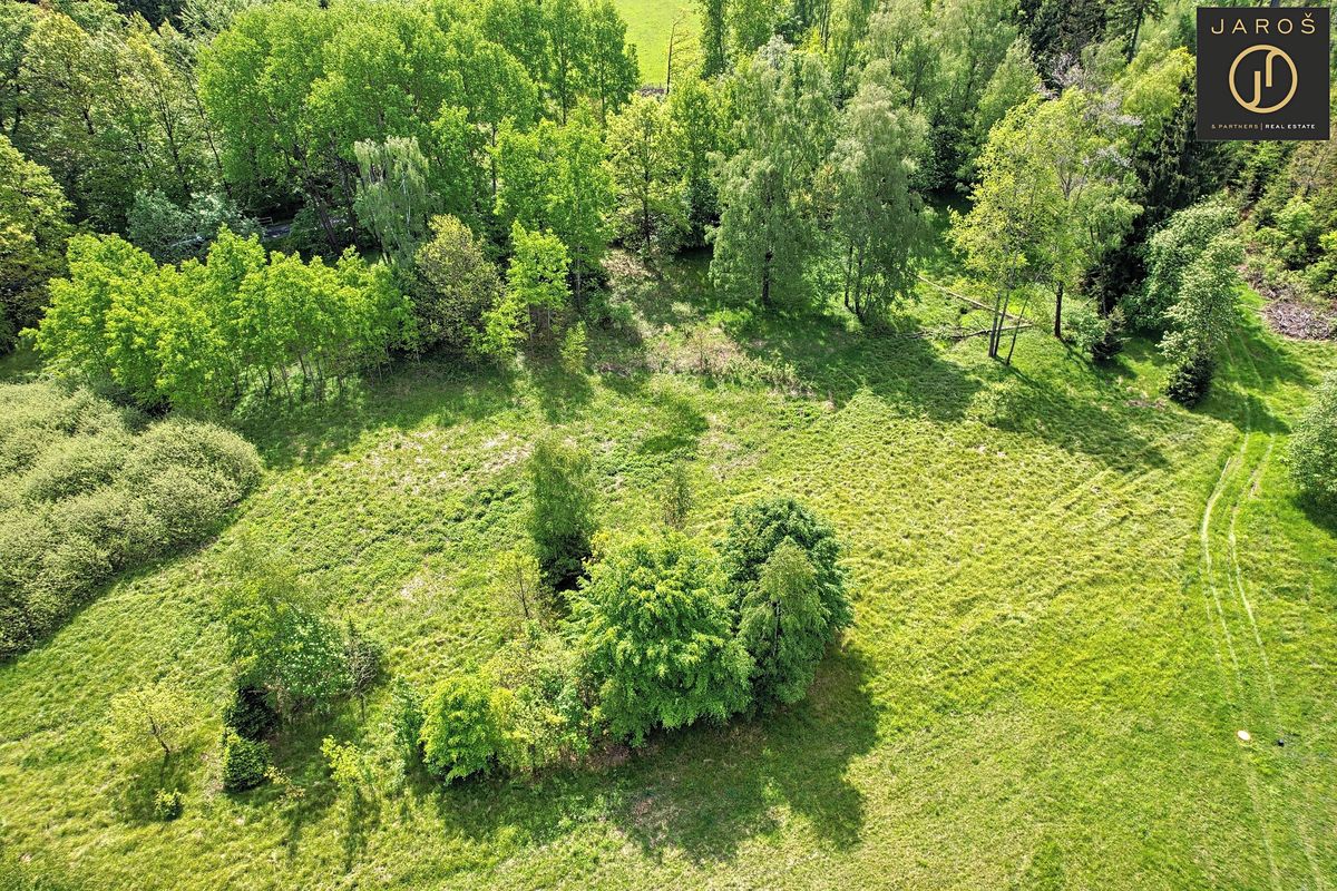 Prodej louky 9592 m²
