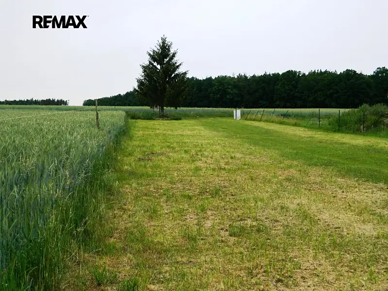 Prodej stavebního pozemku 984 m², Přehořov – náhled fotky 3