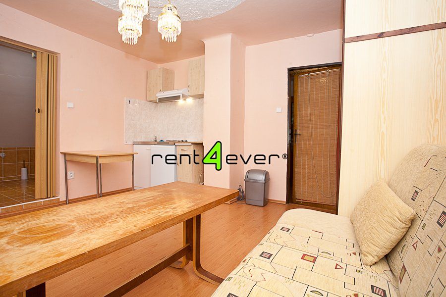 Pronájem bytu 1+kk 30 m²